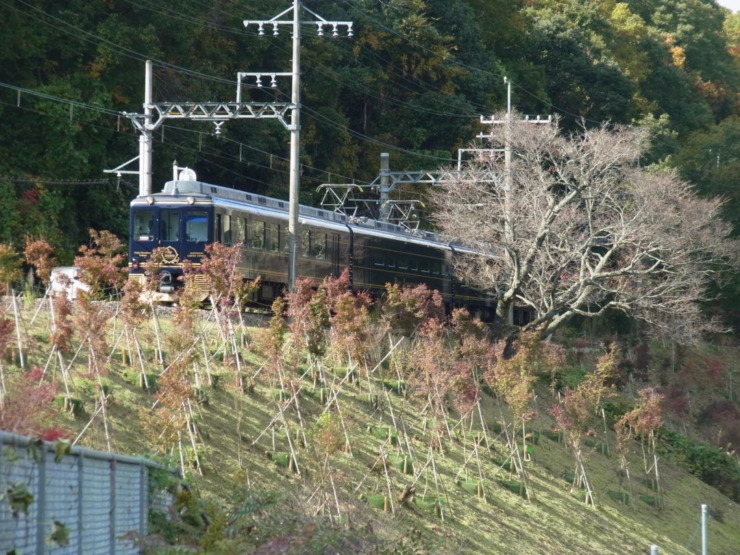 近鉄吉野線花いっぱい運動 近鉄造園土木株式会社